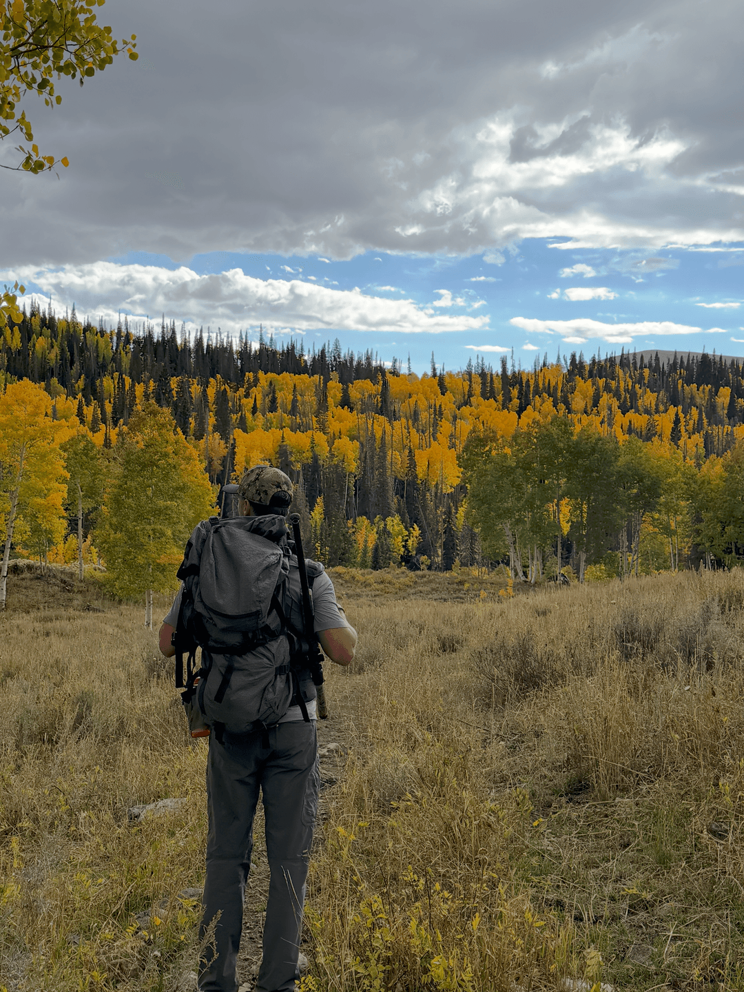Tanner in the mountains